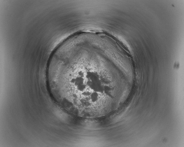 X0000091010487200708162001