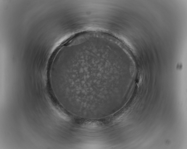 X0000091010488200708162001