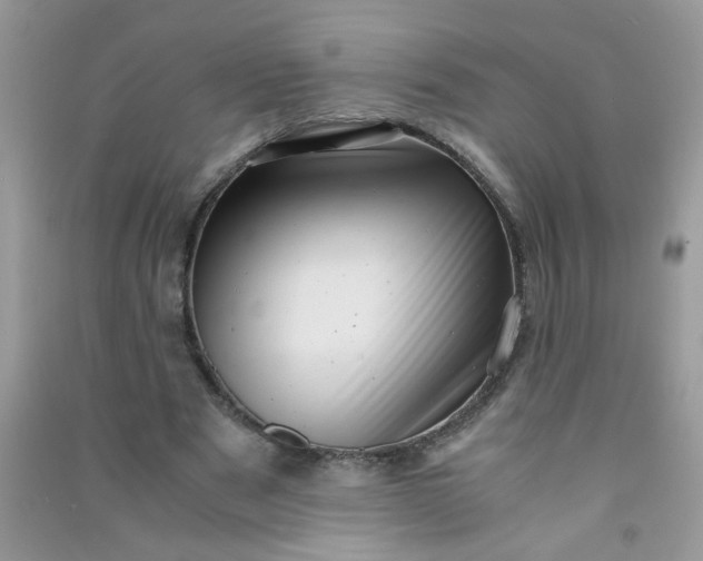 X0000091010489200708162001