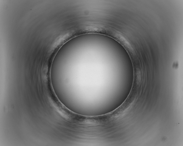 X0000091010490200708162001