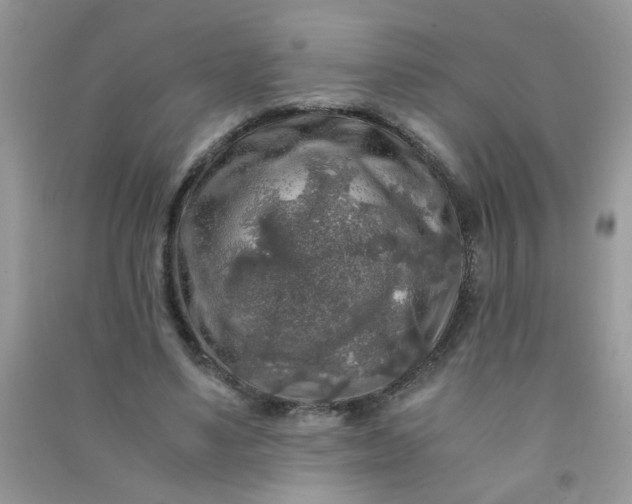 X0000091010491200708162001