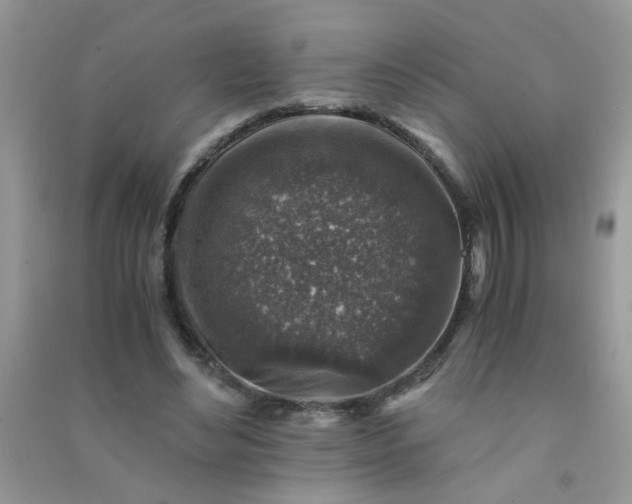 X0000091010492200708162001