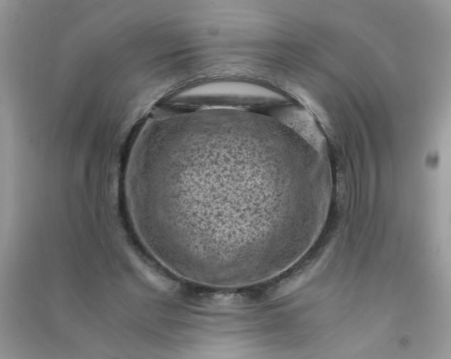 X0000091010493200708162001