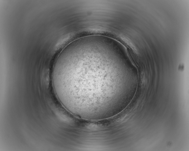 X0000091010494200708162001