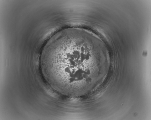 X0000091010495200708162001