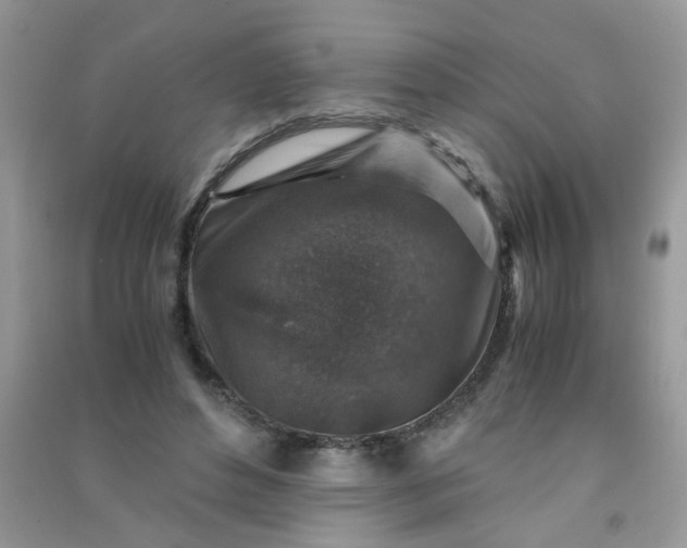 X0000091010496200708162001