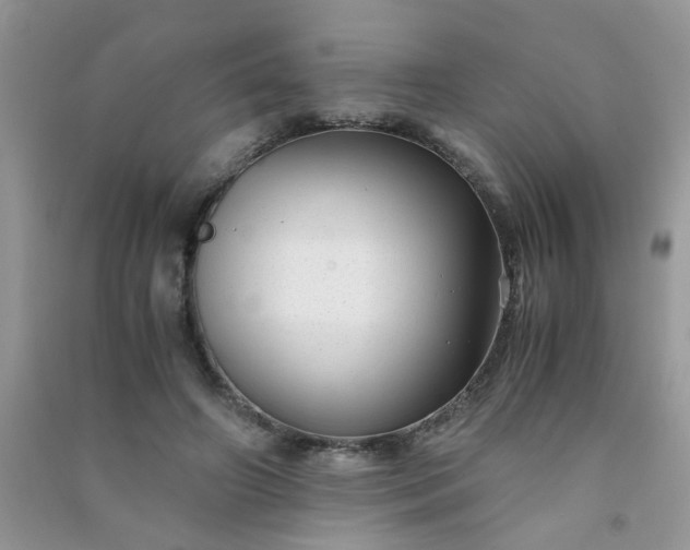 X0000091010498200708162001