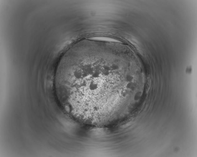 X0000091010499200708162001