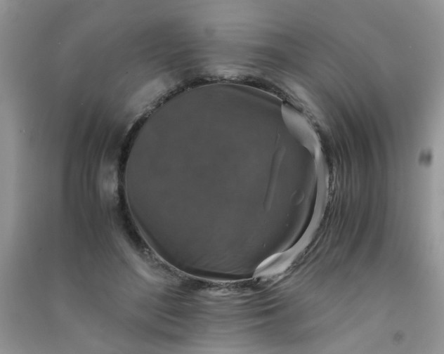 X0000091010500200708162001