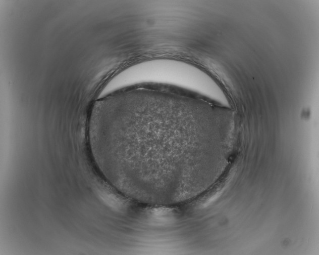 X0000091010501200708162001