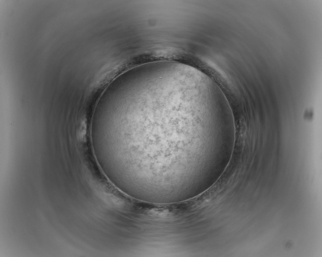 X0000091010502200708162001