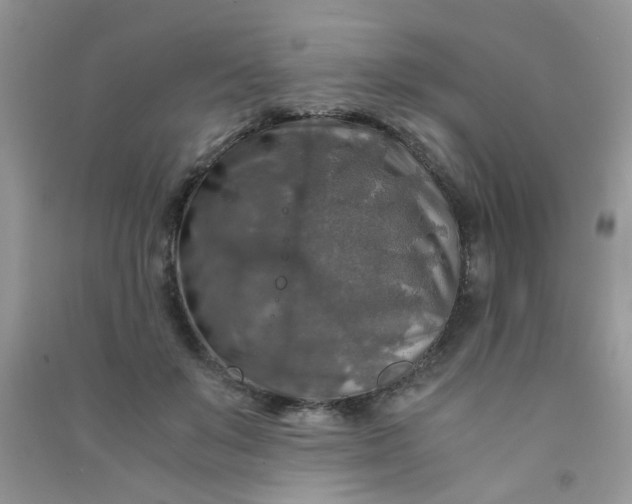 X0000091010503200708162001