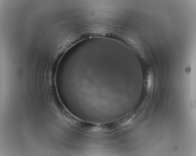 X0000091010504200708162001