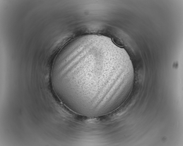 X0000091010505200708162001