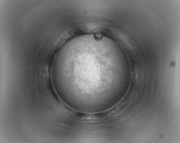 X0000091010506200708162001