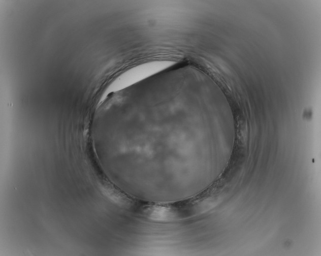 X0000091010507200708162001