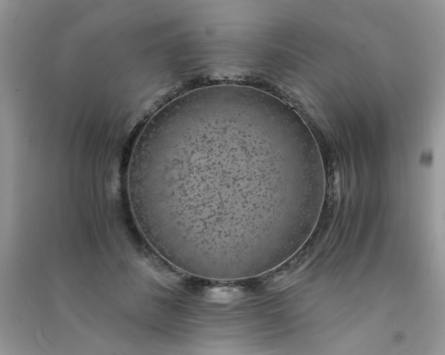 X0000091010508200708162001