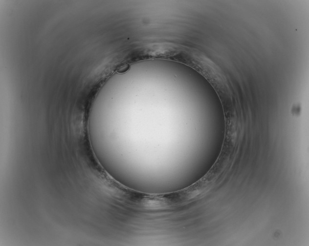 X0000091010510200708162001