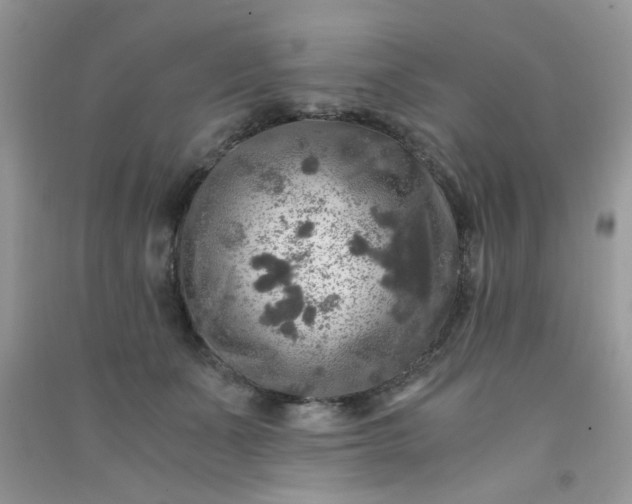 X0000091010511200708162001