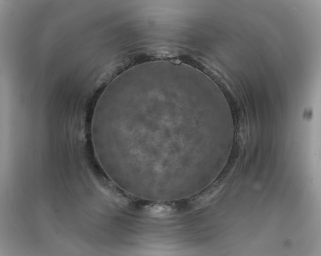 X0000091010512200708162001