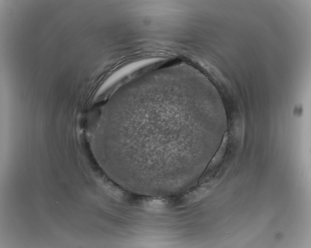 X0000091010513200708162001