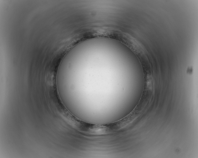 X0000091010514200708162001