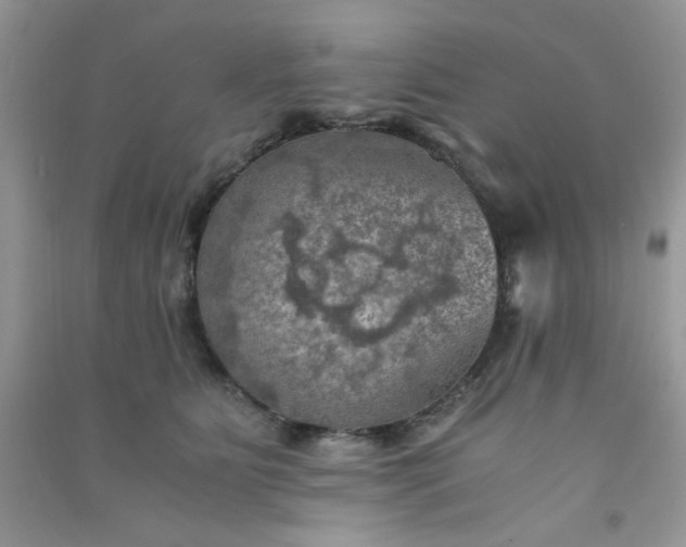 X0000091010515200708162001