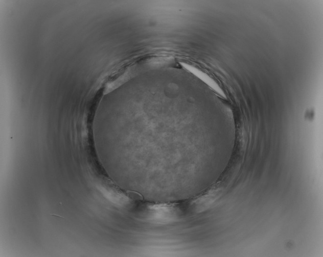 X0000091010516200708162001