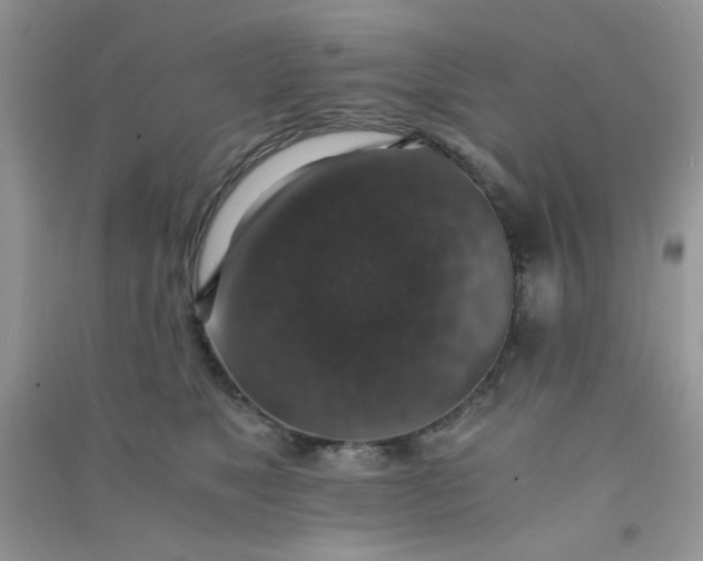 X0000091010517200708162001