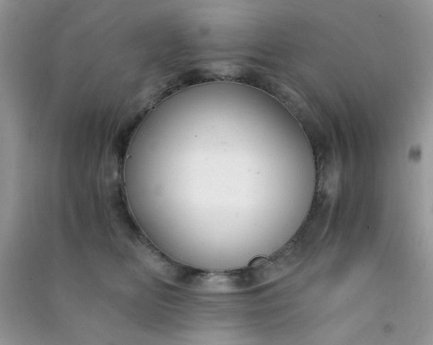 X0000091010518200708162001