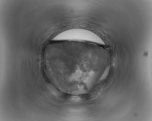 X0000091010519200708162001