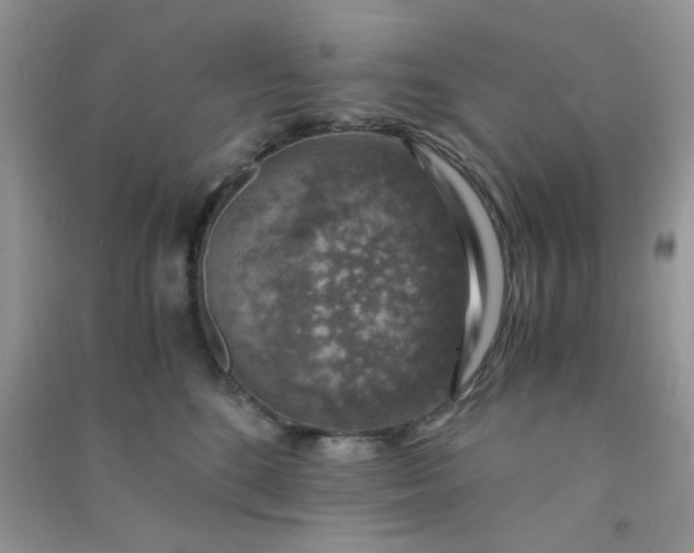 X0000091010520200708162001