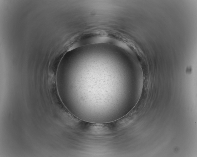 X0000091010521200708162001