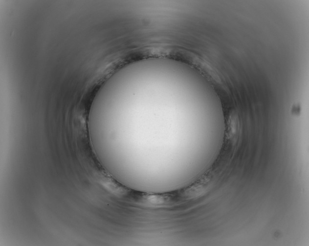 X0000091010522200708162001