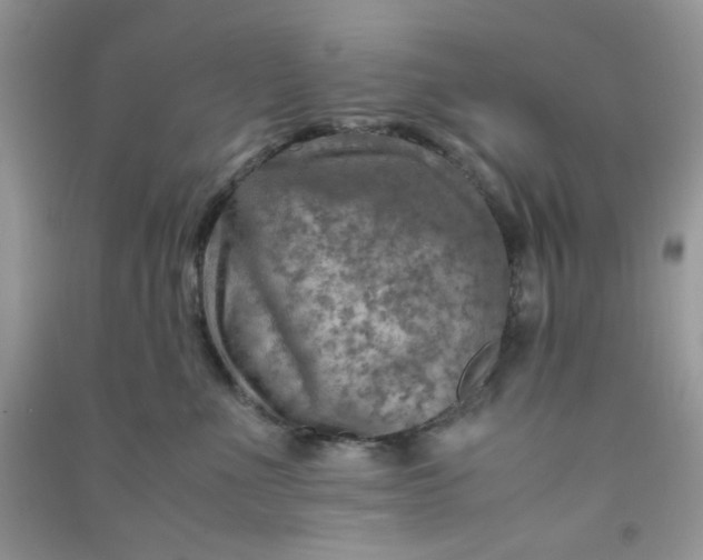 X0000091010523200708162001