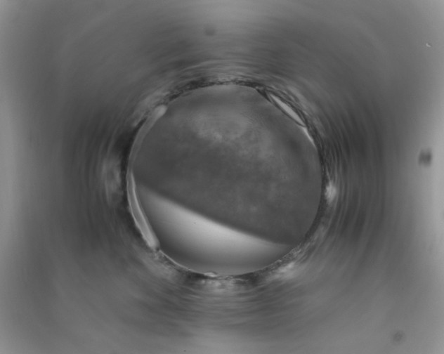 X0000091010524200708162001