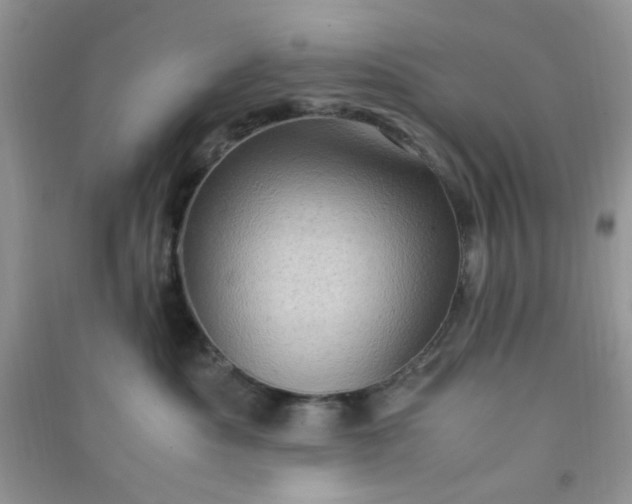 X0000091010525200708162001