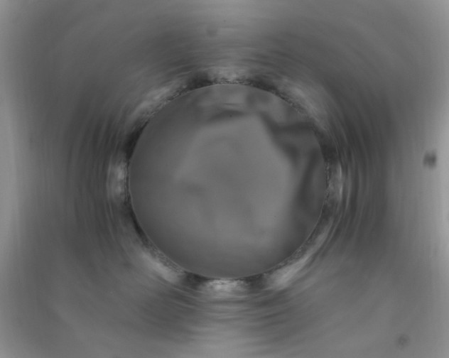 X0000091010526200708162001