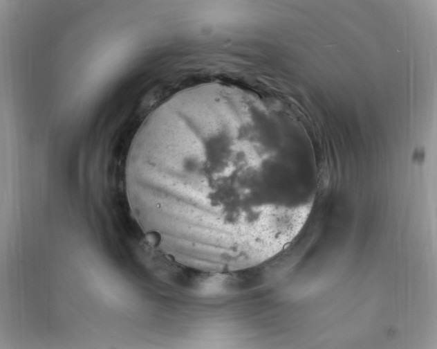 X0000091010527200708162001