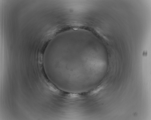 X0000091010528200708162001