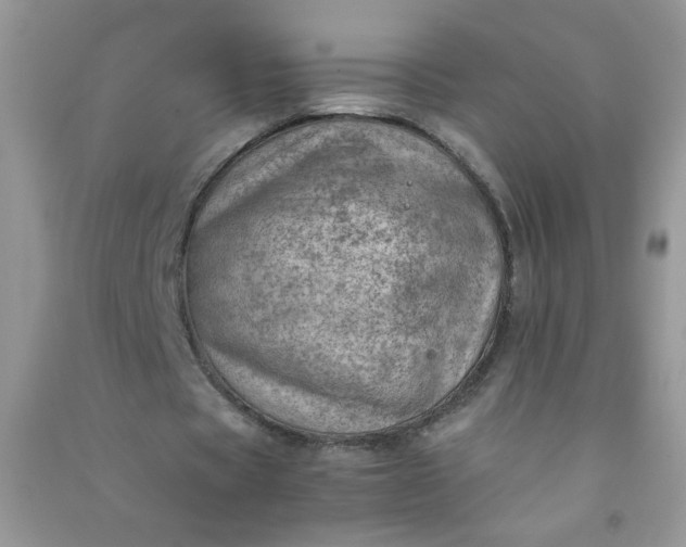 X0000091010529200708162000