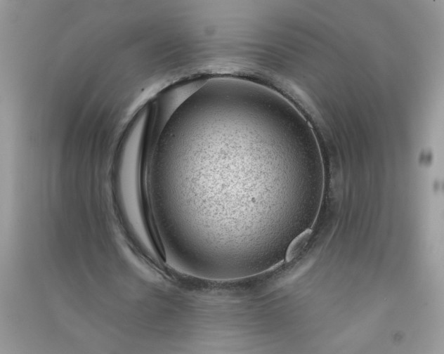 X0000091010530200708162000