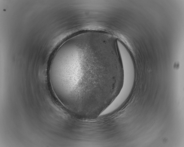 X0000091010531200708162000