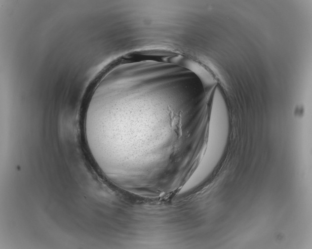 X0000091010532200708162000