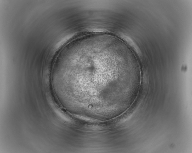 X0000091010533200708162000