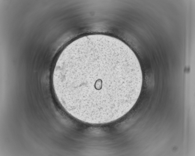 X0000091010534200708162000