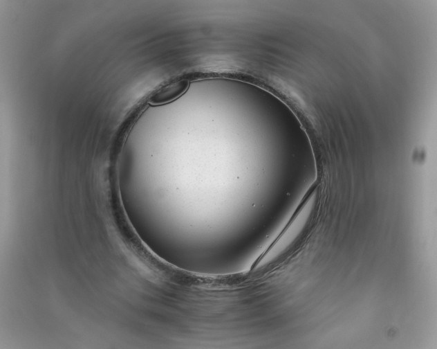 X0000091010535200708162000