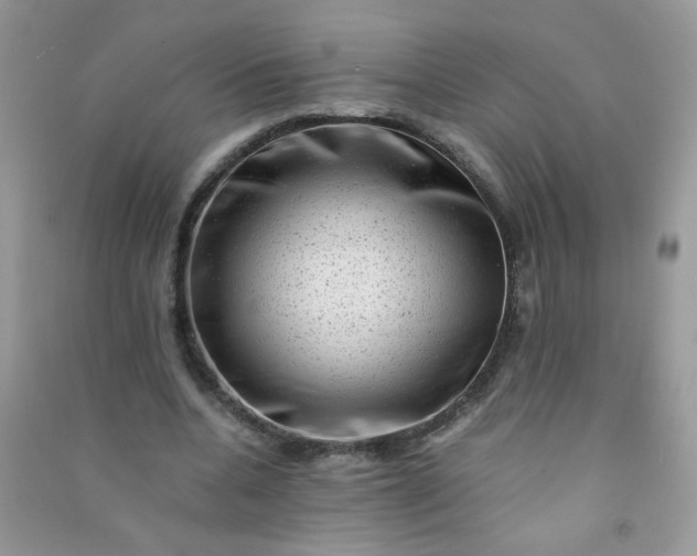 X0000091010536200708162000