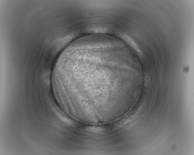 X0000091010537200708162000