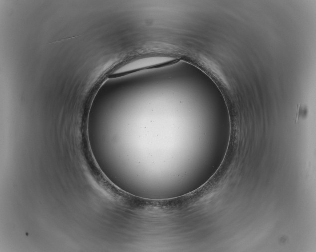 X0000091010538200708162000